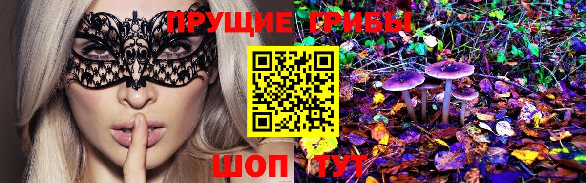 Галлюциногенные грибы Psilocybe  Вход с VPN  Псилоцибиновые грибы Psilocybine cubensis  Буйнакск 